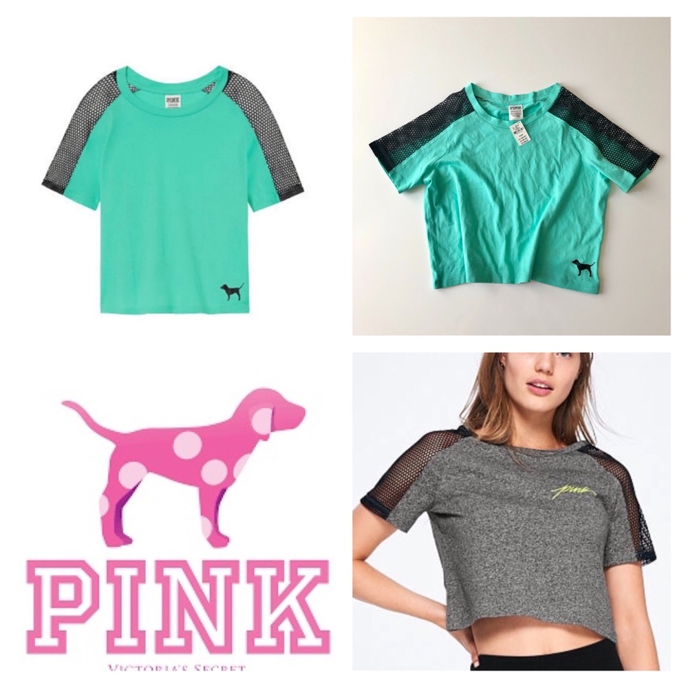 NWT VS Pink Fishnet Mesh Crop Top T-Shirt Tee XS